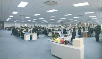 新大洲本田 厚積薄發,逆勢方見功底